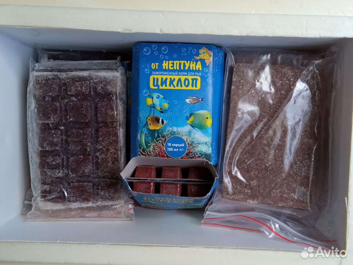 Заморозка корм для рыб