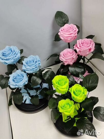 Роза в колбе