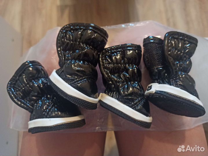 Обувь для собак