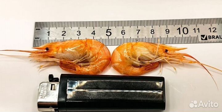 Креветка азовская опт и розница