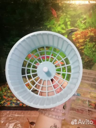 Беговое колесо