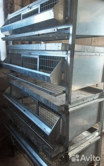 Клетки для перепелов - металлические