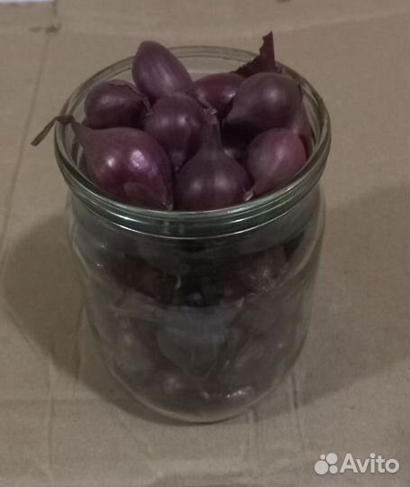 Лук севок 8 сортов