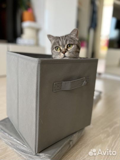 Коробка для хранения вещей игрушек новая