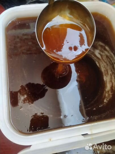 Мед-чудоГречка,разнотравие2023