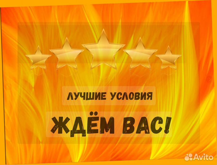 Оператор производственной линии Без опыта М/Ж