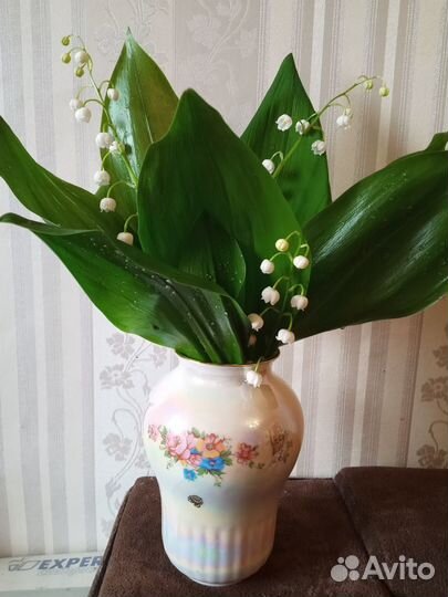 Посуда СССР и современная