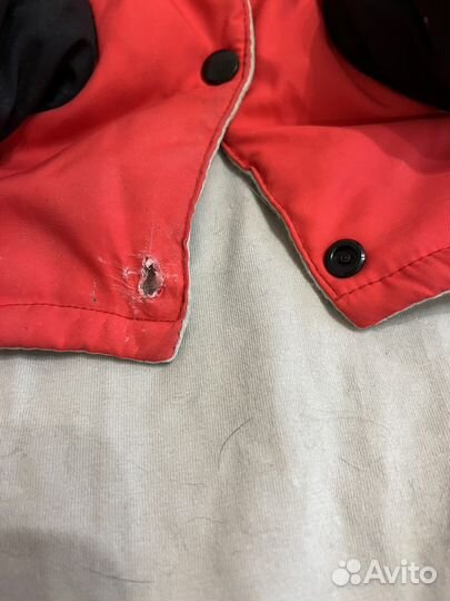 Одежда для собак