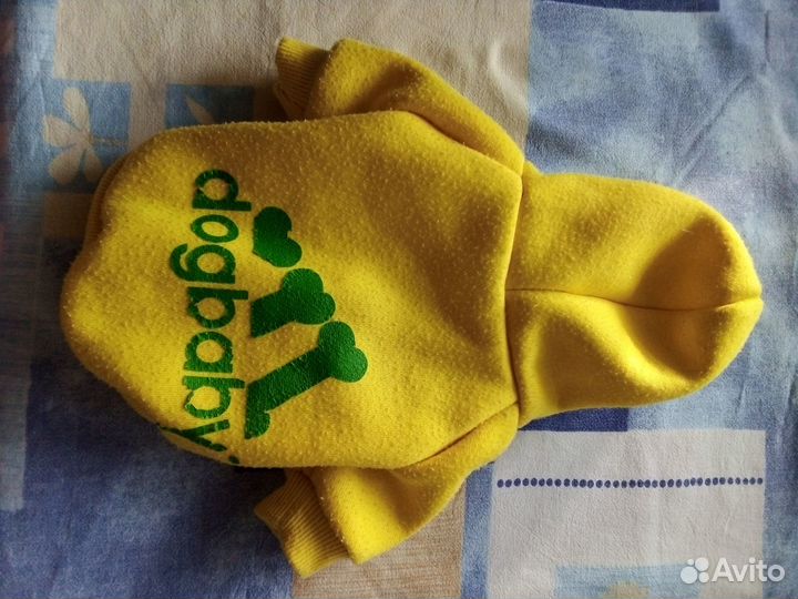 Одежда для собак мелких пород