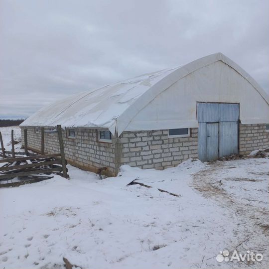 Готовый фермерский бизнес