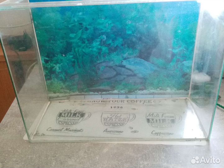 Аквариум