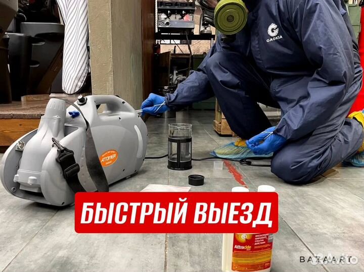 Дезинфекция Уничтожение клопов тараканов