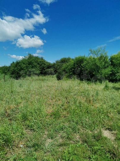 Участок 10 сот. (СНТ, ДНП)