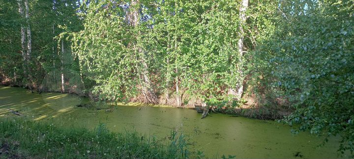 Дом 107 м² на участке 10 сот.