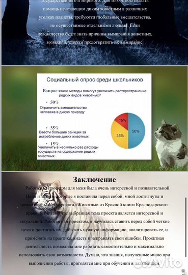 Проект Школьный