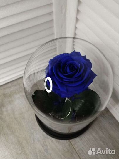 Роза в колбе Подсветка Подарок шары