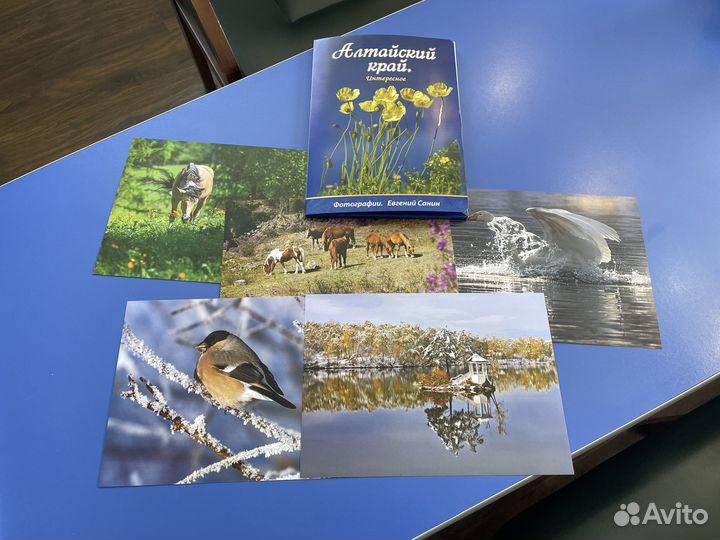 Фотоальбом 