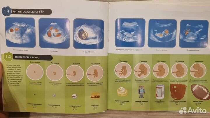 Книга Шон Бин Покажи мне как. Отец и дитя