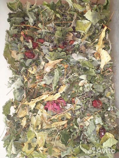 Сбор сушеных трав для чая