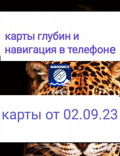 Карта глубин навионикс navionics для Саратова