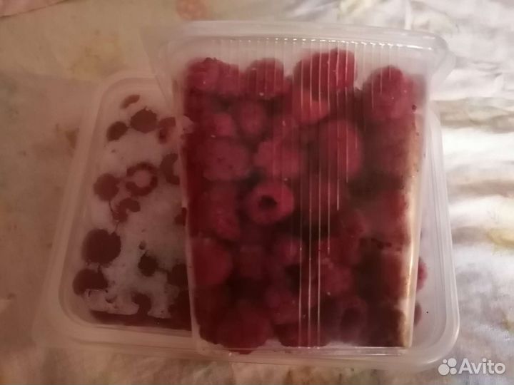 Продам свежею и замороженную малину