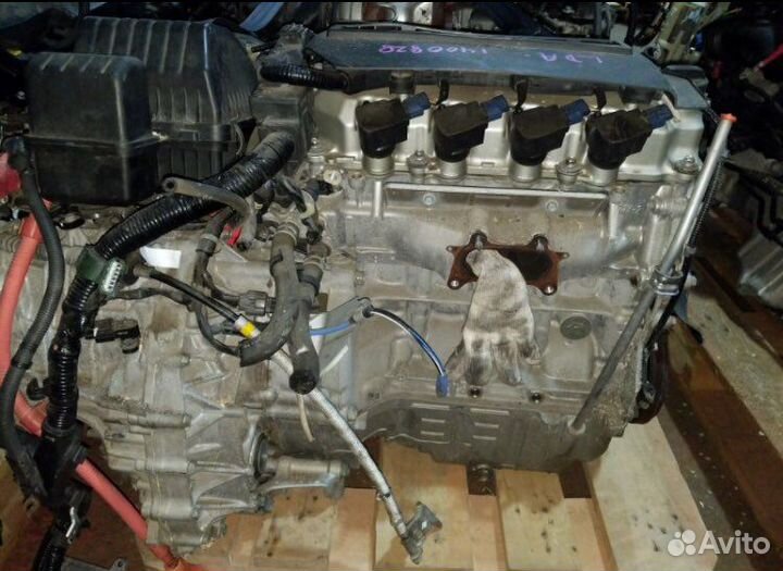 Двигатель 1.3 lda honda civic 8 4d хорда цивик 4д