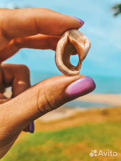 Экскурсия Пляжная Абхазия