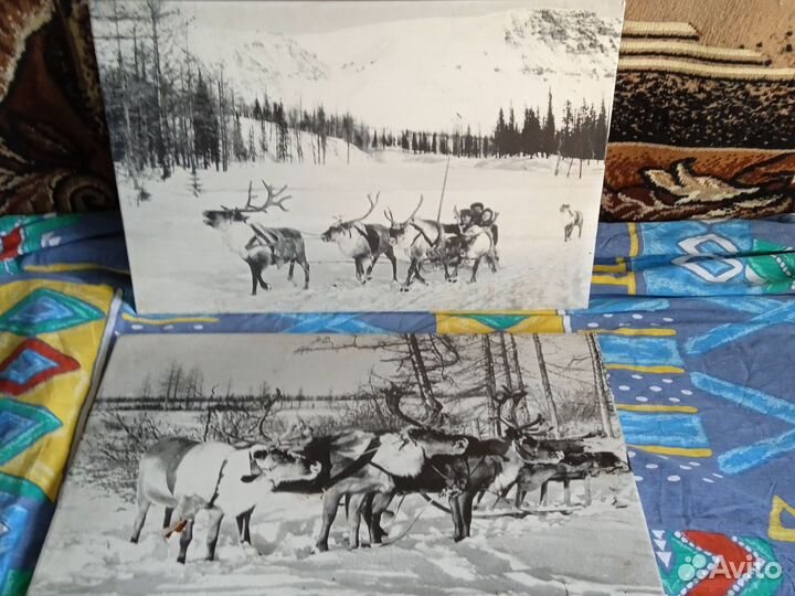 Фото- картины советских времен