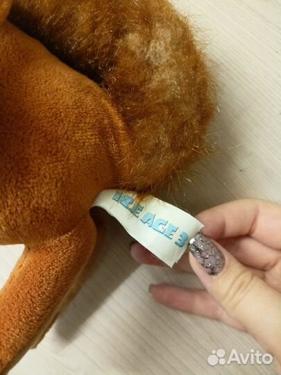 Белка из ледникового периода