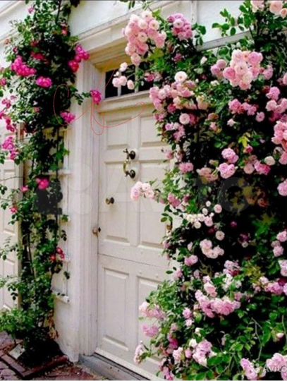 Дом 60 м² на участке 1 сот.