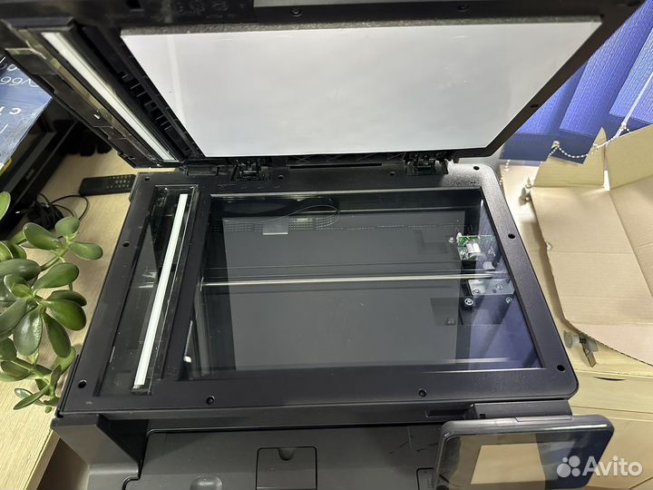 Принтер лазерный мфу hp