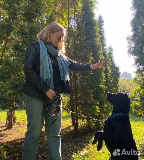 Услуги кинолога