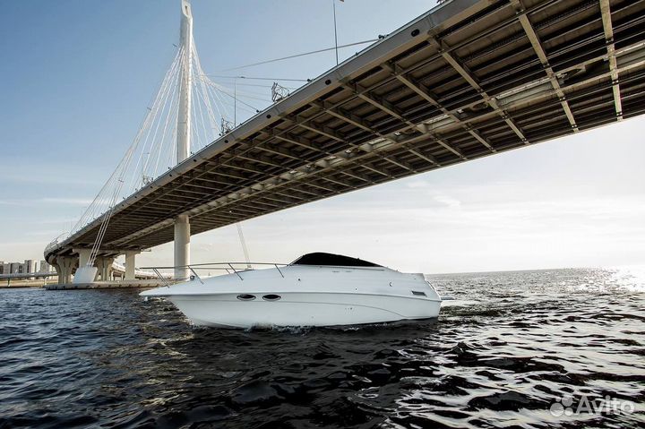 Аренда катера