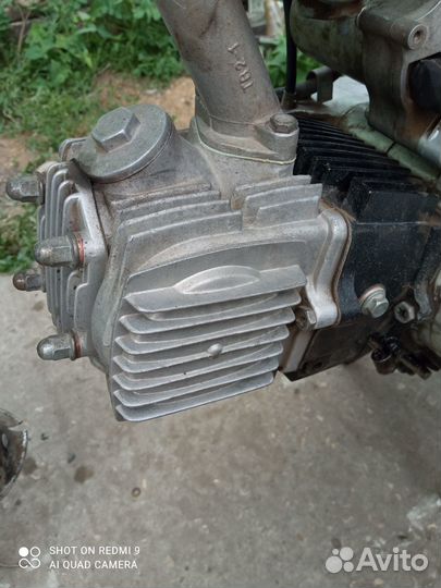 Мопед альфа