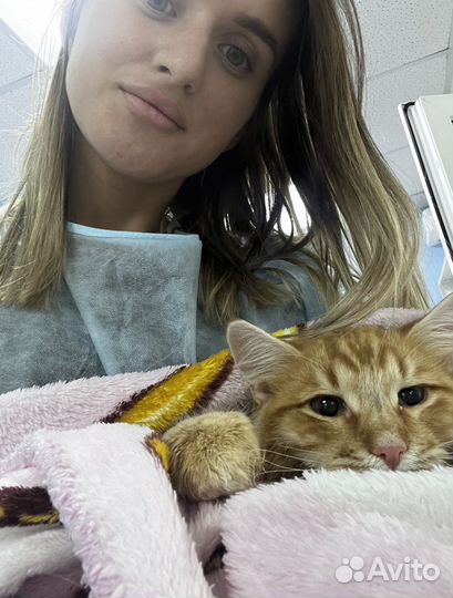 Ветеринарный врач на дом, вакцинация, усыпление