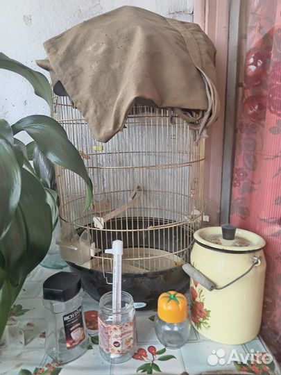 Клетка для птицы