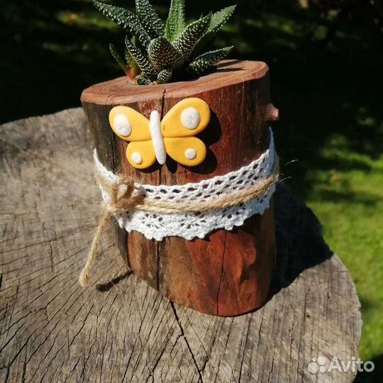 Мастер-класс Живой цветочек в деревянном кашпо