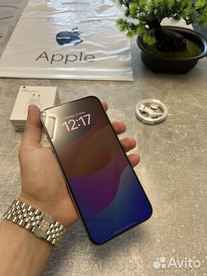 iPhone 15 Pro Max, 256 ГБ