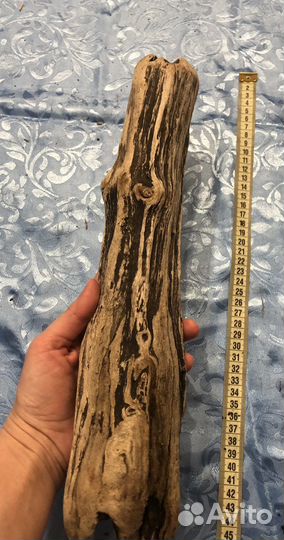 Морская коряга, дрифтвуд