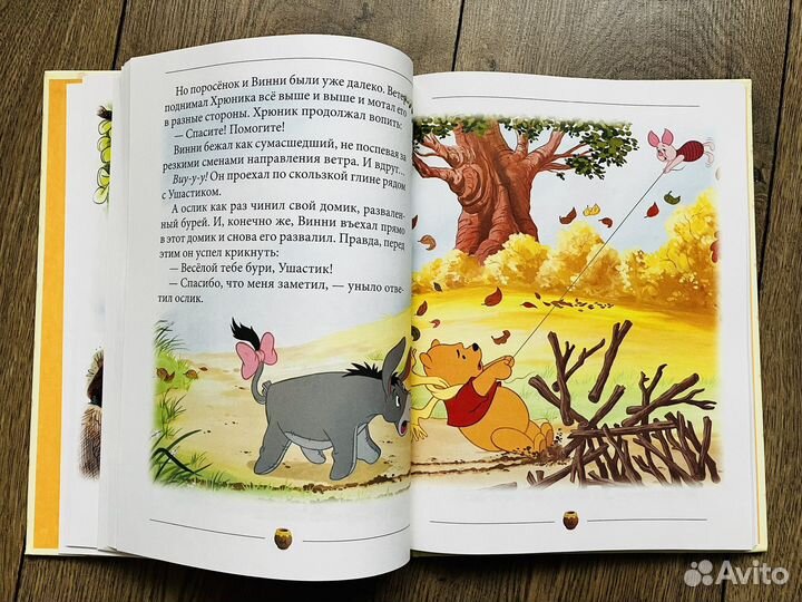 День забот и другие приключения Винни Пуха, Дисней