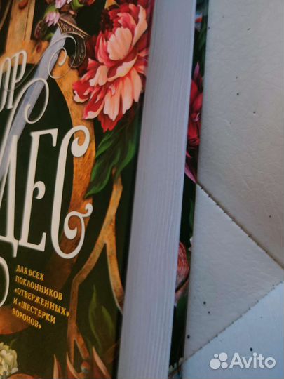 Книга: Двор чудес