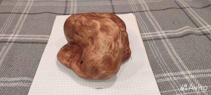 Сувель берёзы