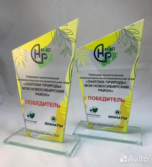 Награды / Призы / Под заказ из стекла