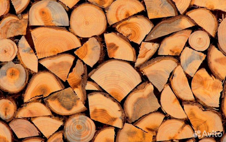 Дрова с Зеленогорска