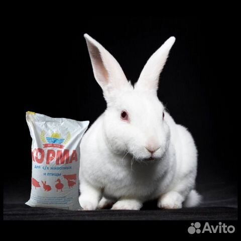 Комбикорм для кроликов Премиум 30 кг, доставка