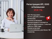 Регистрация ИП, ООО в Калмыкии. УСН 1 проц