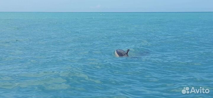 Групповые экскурсии по Абхазии из города Гагра