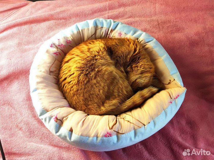 Лежанка для собак и кошек