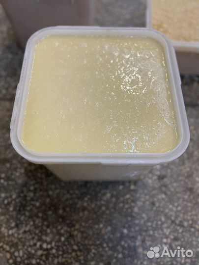 Мед липовый оптом