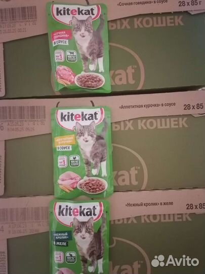 Влажный корм для кошек purina one